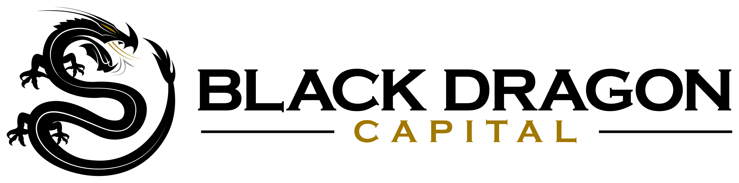 Black Dragon Capital